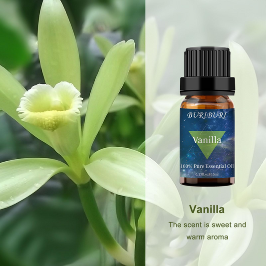 Vanilla Essential Oil 10ML