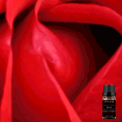 Pure Rose Essential Oil 10ml