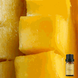 Pure Mango Fragrance Oil 10ml