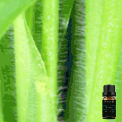 Pure Vetiver Essential Oil 10ml