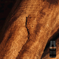 Pure Cinnamon Essential Oil 10ml