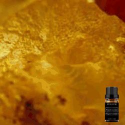 Pure Frankincense Essential Oil 10ml