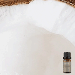 Pure Coconut Fragrance Oil 10ml