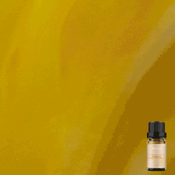 Pure Freesia Fragrance Oil 10ml