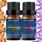 Lavender and Sandalwood Essential Oil Set 2 Pack