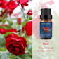 Rose and Peony Essential Oil Set 2 Pack