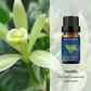 Eucalyptus and Vanilla Essential Oil Set 2 Pack