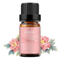 peony lotus essential oil set
