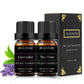 lavender tea tree essential oil set