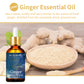 Ginger Essential Oil 