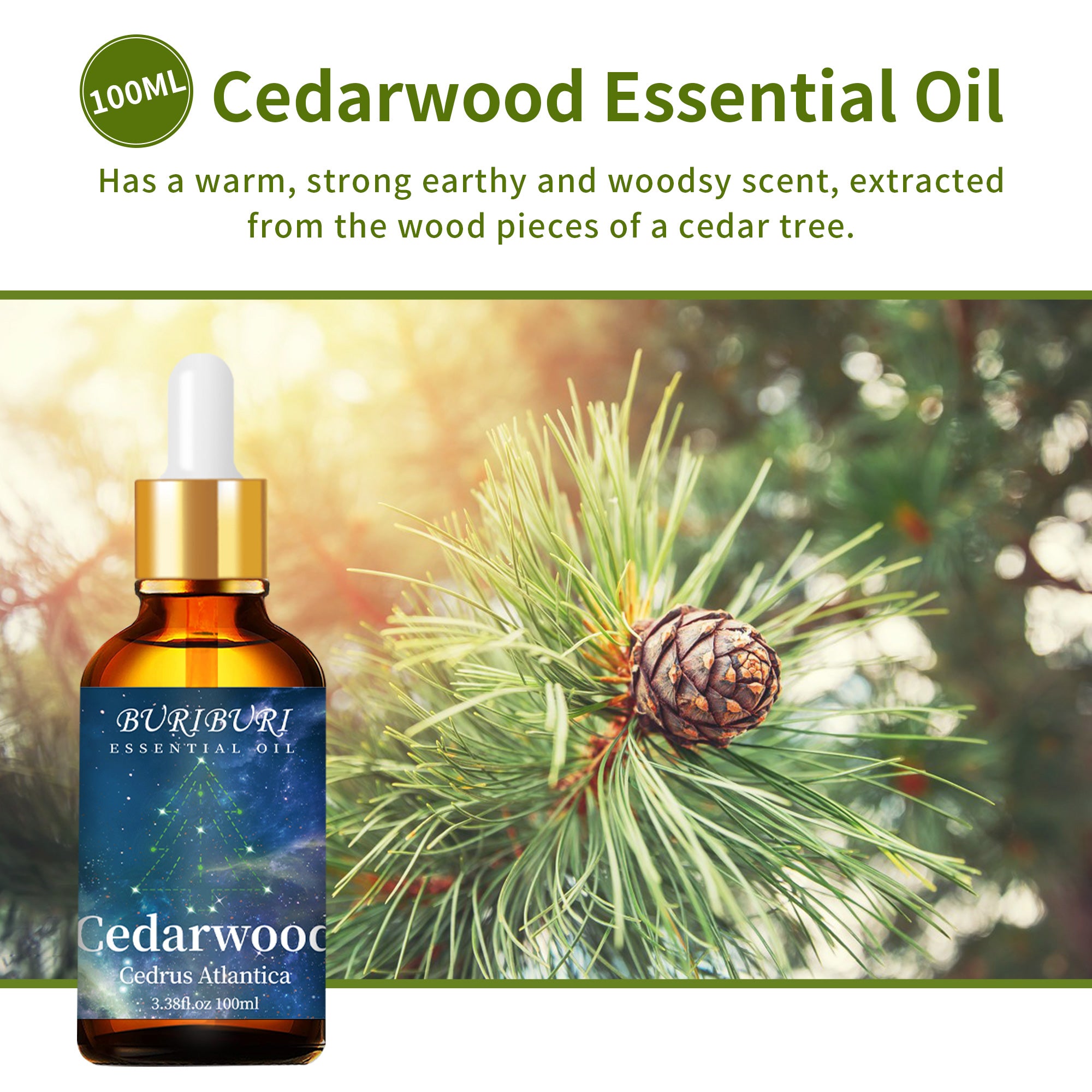 Cedarwood Essential Oil