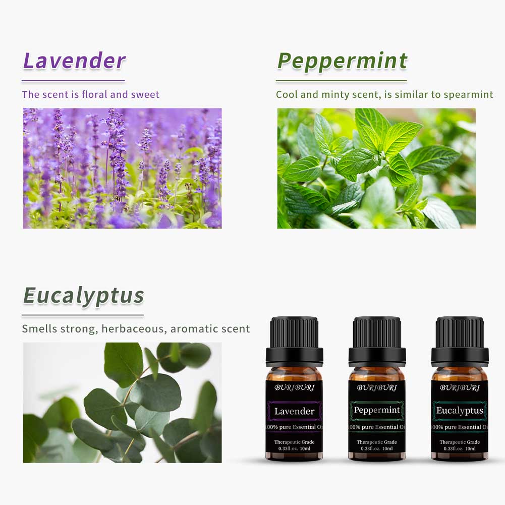Eucalyptus Lavender Peppermint Essential Oils