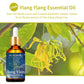 Ylang Ylang Essential Oil