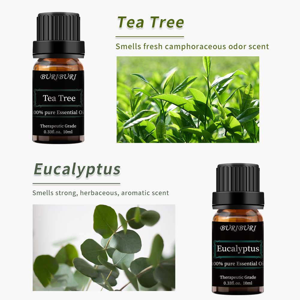 Tea Tree,Eucalyptus essential oil