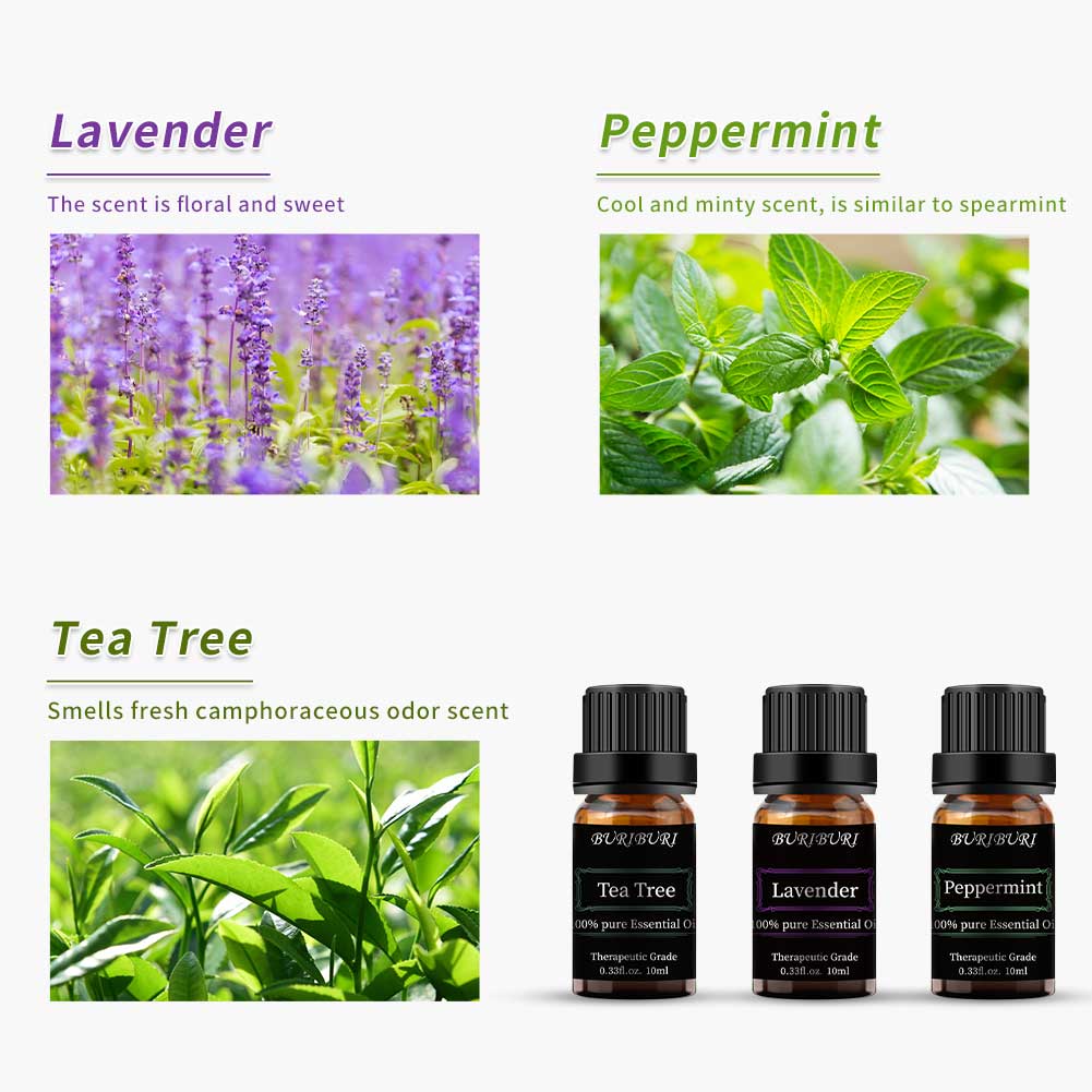 Lavender Tea Tree Peppermint Essential Oils Set Diffuser Blends