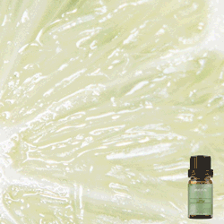 Pure Lime Fragrance Oil 10ml
