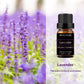 2pcs 10ml Lavender + Eucalyptus Essential Oil Set