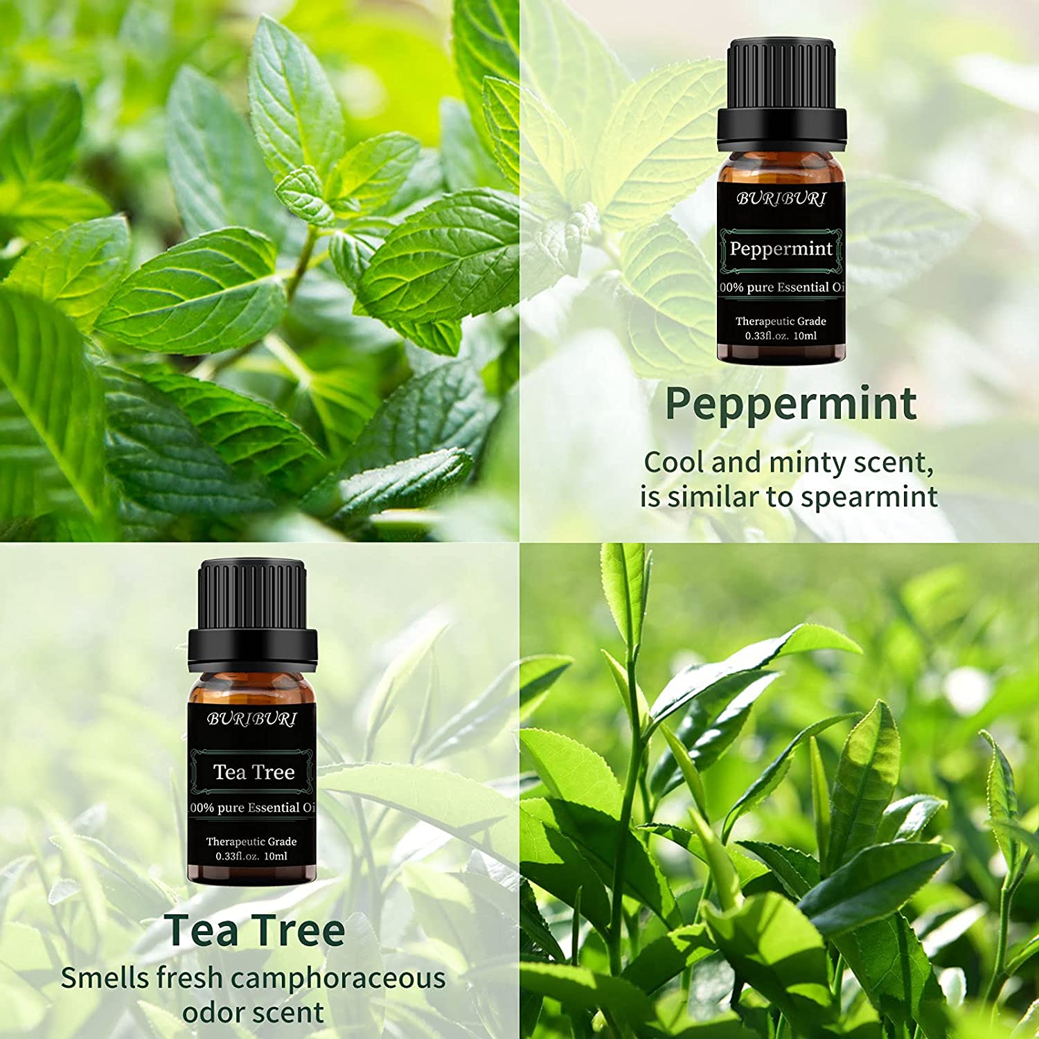 lavender peppermint tea tree jasmine  essential oil