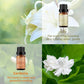 lily gardenia lotus essential oils