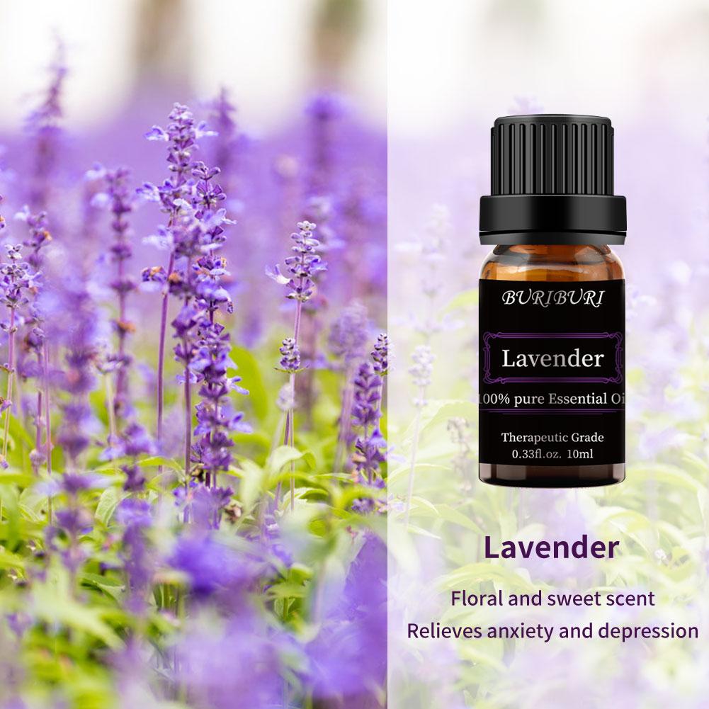 lavender eucalyptus tea tree blend 8Pcs 10ml Essential Oil Set (Lavender, Eucalyptus, Lemongrass, Orange, – BURIBURI STORE