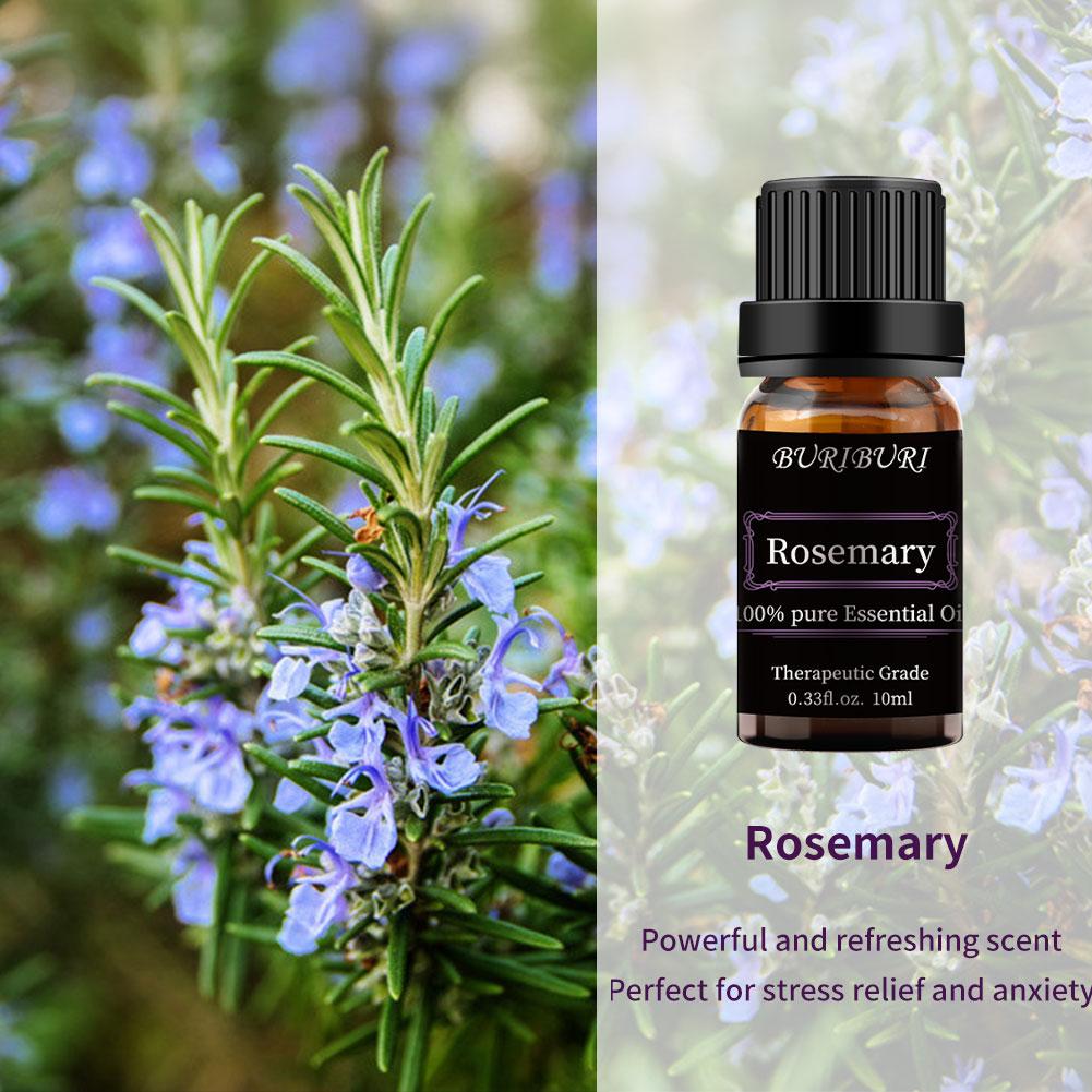 frankincense lavender tea tree 8Pcs 10ml Essential Oil Set (Lavender, Eucalyptus, Lemongrass, Orange, – BURIBURI STORE