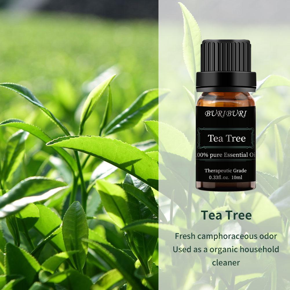 lavender frankincense and tea tree oil 8Pcs 10ml Essential Oil Set (Lavender, Eucalyptus, Lemongrass, Orange, – BURIBURI STORE