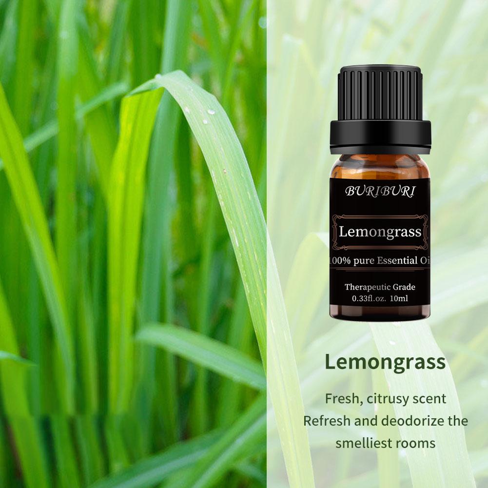 Lavender, Eucalyptus, Lemongrass, Orange, Peppermint, Tea Tree, Rosemary, Frankincense essential oil set