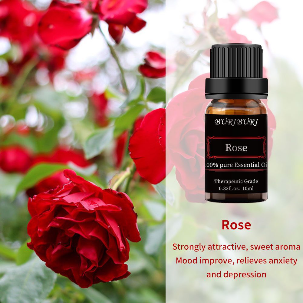 2pcs 10ml Rose + Lavender Essential Oil Set