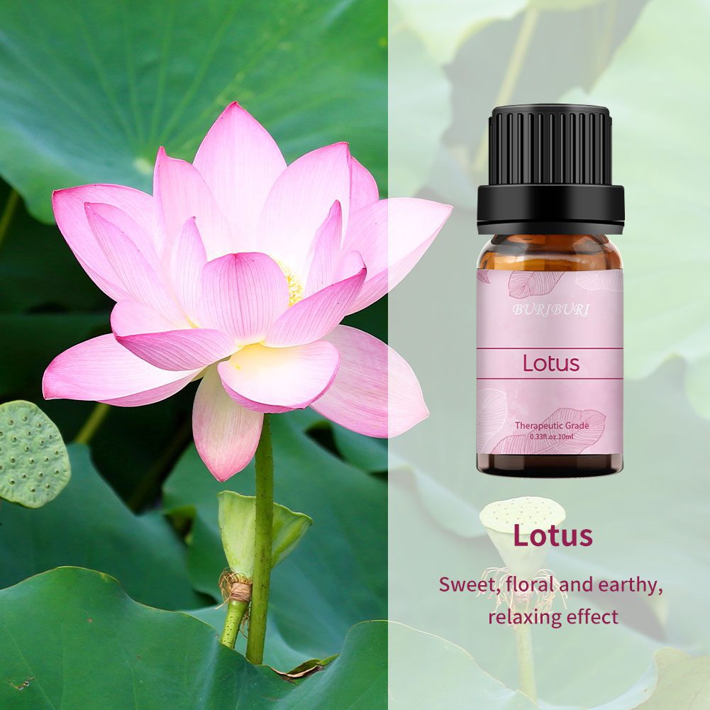 2pcs 10ml Peony + Lotus Essential Oil Set