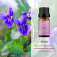 violet essential oil set