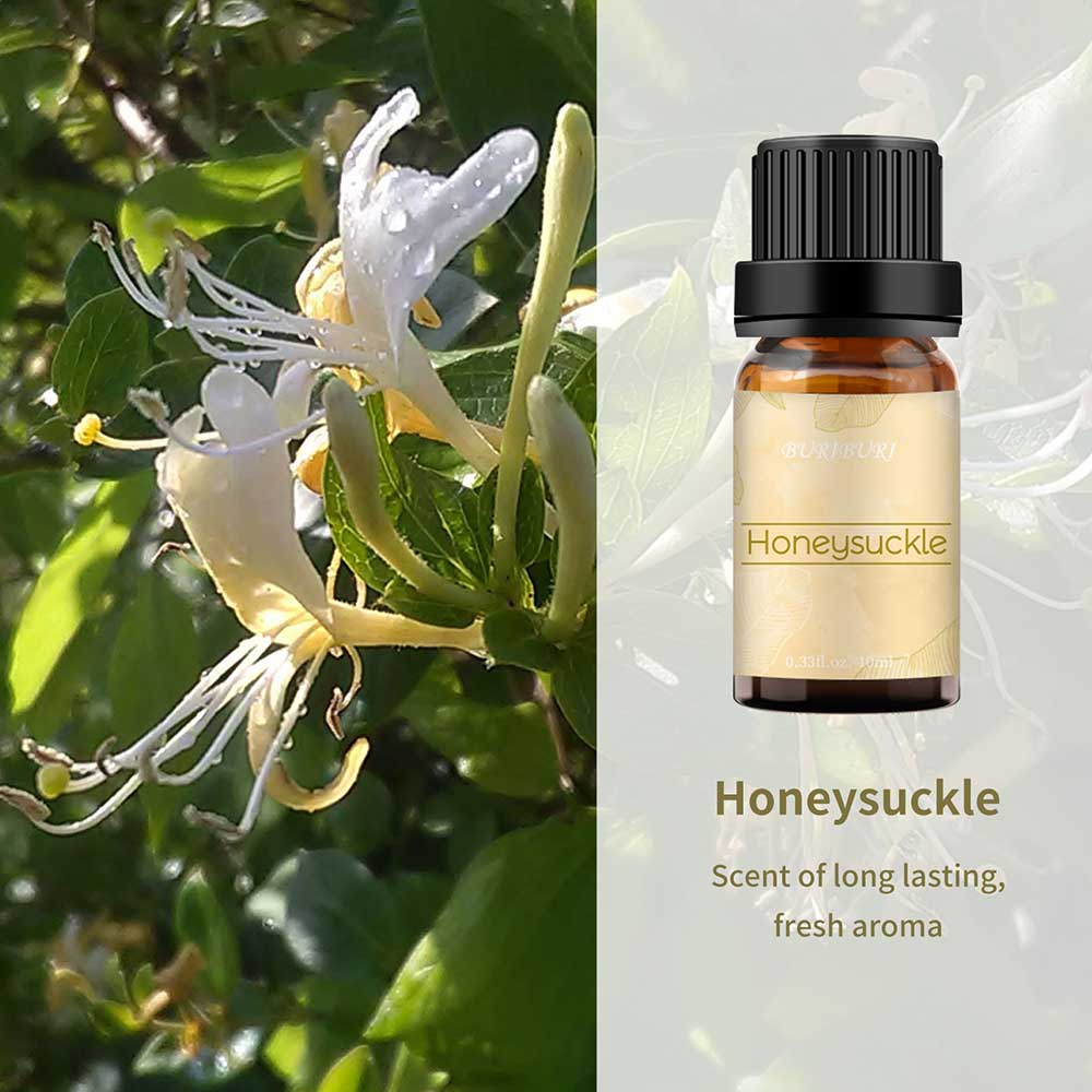 Honeysuckle essential oil set