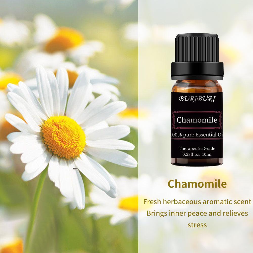 Chamomile Essential Oils