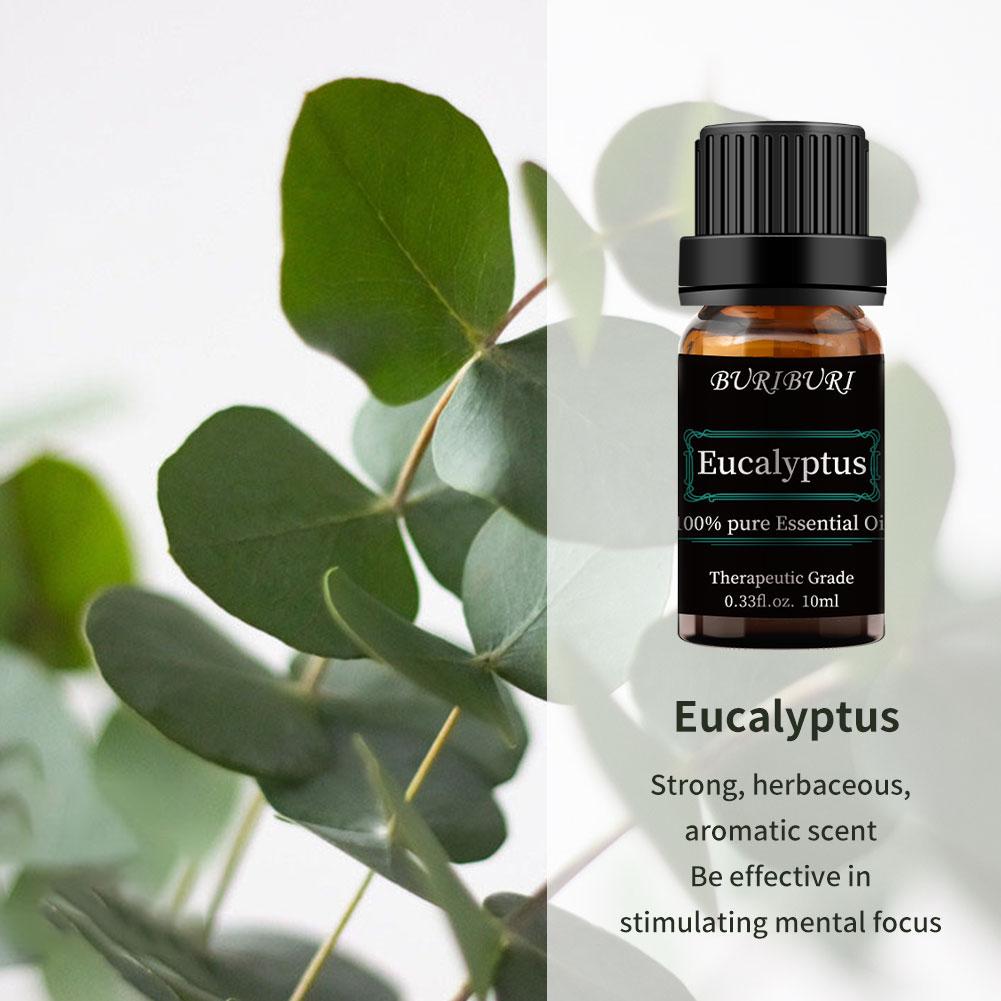 Eucalyptus Essential Oils 