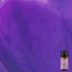 Pure Violet Fragrance Oil - 10ml