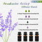  Diffuser Blends for Headache Relief