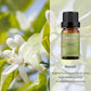 Single 10ml Natural Essential Oils for Aromatherapy, Diffuser, Spa, Massage, DIY Bath Bomb & Candle Making