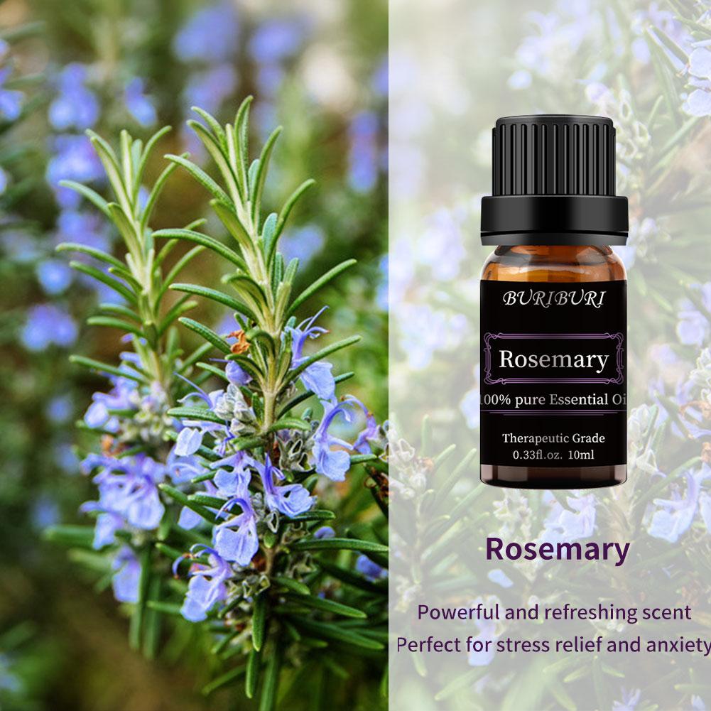 Rosemary Essential Oils 